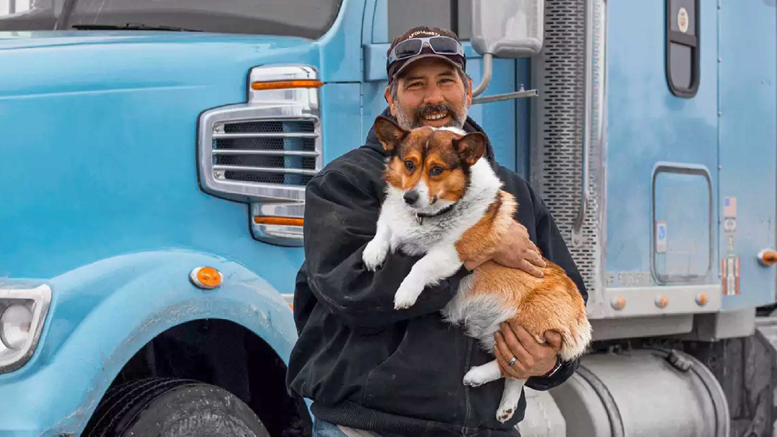 Tips for Trucking With Pets