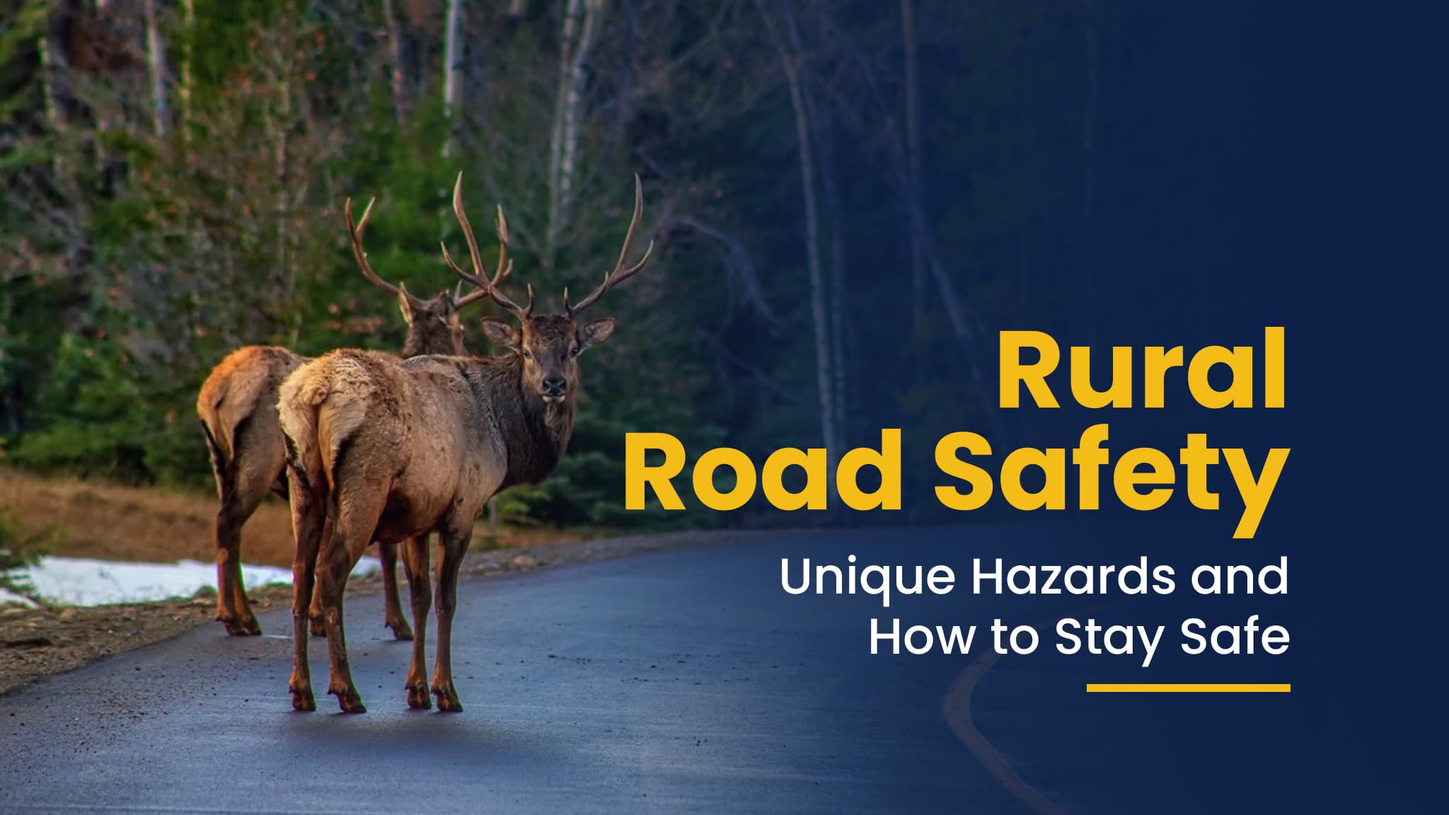 Rural Road Safety